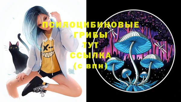 ешки Семилуки