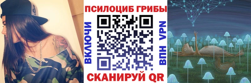 Псилоцибиновые грибы прущие грибы  Новомичуринск 